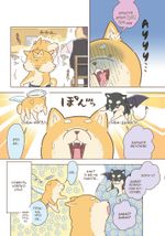 Манга Идзакая "Сибата"