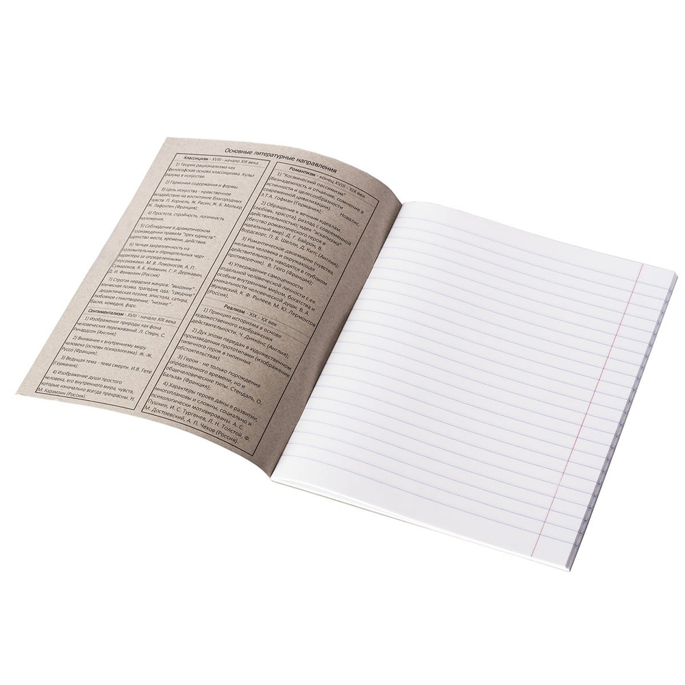 Тетрадь предметная "Литература" А5 36л. со справочным материалом, скрепка, мелованный картон (эконом), блок офсет, Alingar "Космическая фантазия"