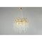 Подвесная люстра Aployt Gertunia APL.847.03.10