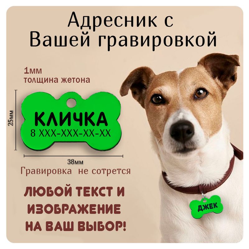 Адресник для собаки с гравировкой большая зелёная "Косточка" 38*25мм (металл), собаке, для кошек, на ошейник, брелок, медальон