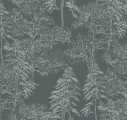 Ambient vol4 Лесной этюд