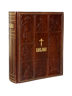 IMG_4874-Photoroom.png-Photoroom