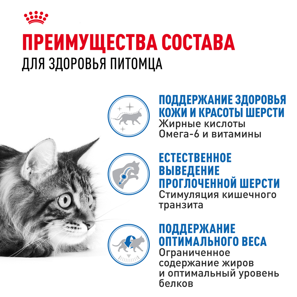 Royal Canin Indoor Long Hair Индор Лонг Хэйр Корм сухой для длинношерстных кошек в возрасте от 1 года до 7 лет живущих в помещении 2кг