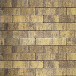 Тротуарная плитка ПРЯМОУГОЛЬНИК 200x100 мм - Листопад гладкий Янтарь