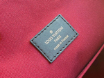 Louis Vuitton Montsouris Backpack PM