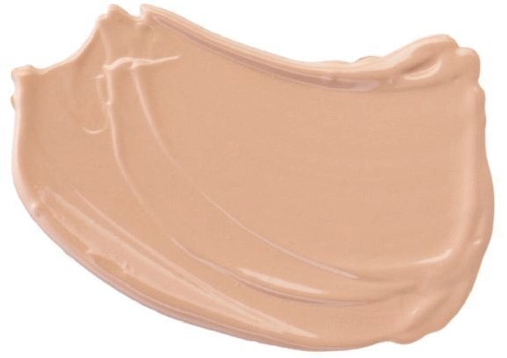 Корректор Relouis Pro Full Cover Corrector 4 гр
