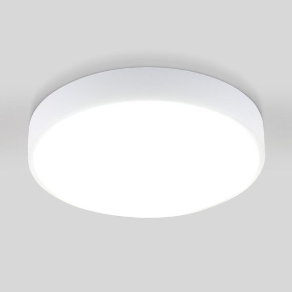 Потолочный светодиодный светильник Elektrostandard DLR034 18W 4200K a043015