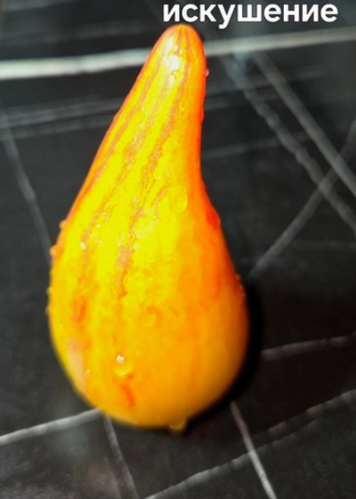 ИСКУШЕНИЕ (СААКОВОЙ)