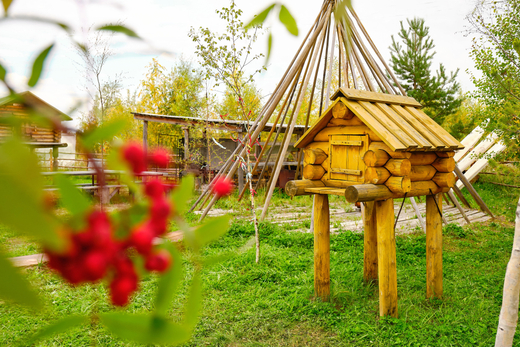 Экскурсионная программа «Путешествие в мир ханты: традиции, спорт и вкус Северной тайги»