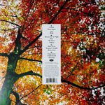 Ludovico Einaudi ‎– In A Time Lapse 2LP (Европа 2013г.)