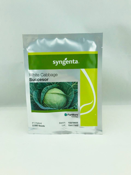 САКСЕСОР F1 семена капусты белокочанной (Syngenta | Alexagro) – фото 3
