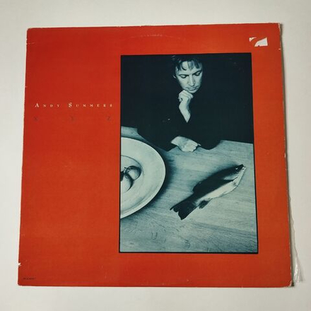 Винтажная виниловая пластинка LP Andy Summers XYZ (USA 1987)