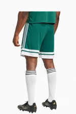 Шорты adidas Squadra 25 - зеленый