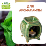Мята и шоколад, отдушка для свечей и мыла