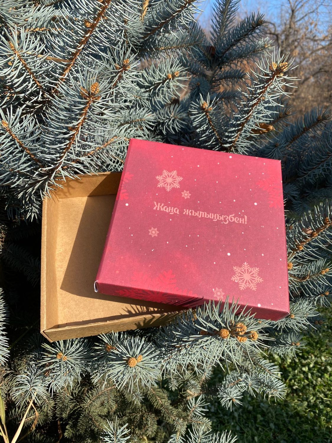 Коробка 200*200*50 