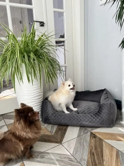 Лежанка для собак средних пород