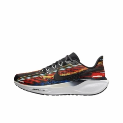 Мужские кроссовки Nike Air Zoom Pegasus 41 'Multi-Color' IB8171-999
