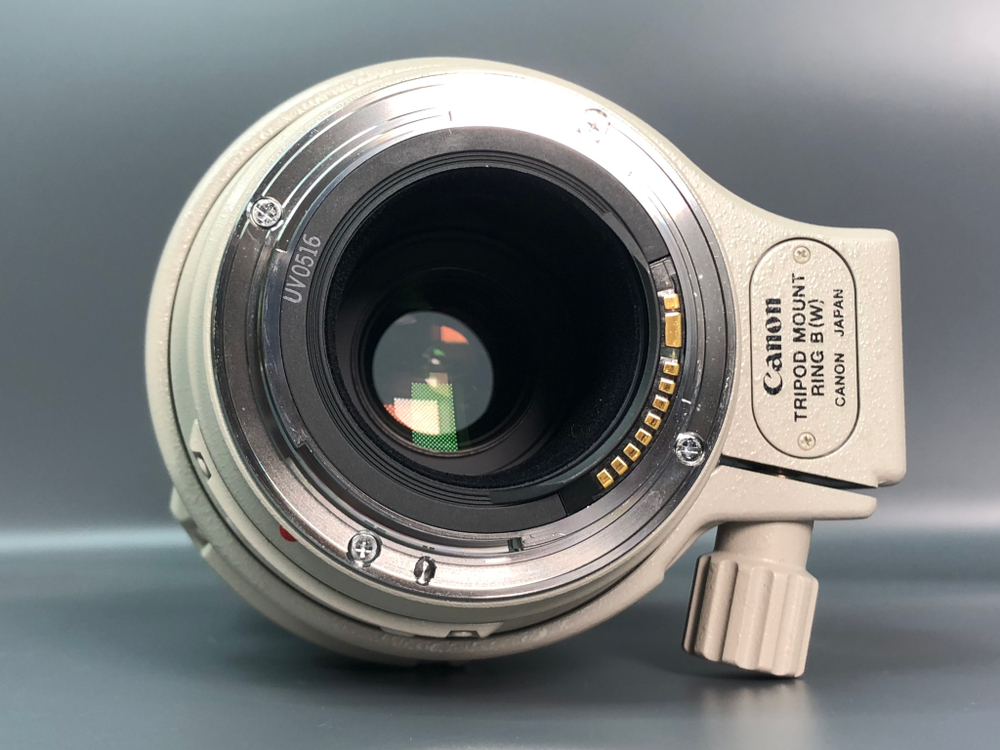 Canon EF 100-400mm 4.5-5.6L IS USM