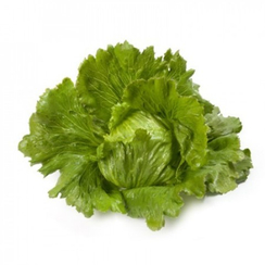 Аргентинас семена салата айсберг (Rijk Zwaan / Райк Цваан)