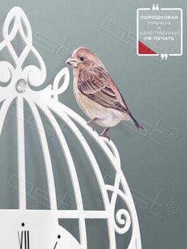 Настенные часы "Songbird 2"