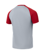 Футболка тренировочная JOGEL PREMIER PerFormDRY Training Tee, серый/темно-красный