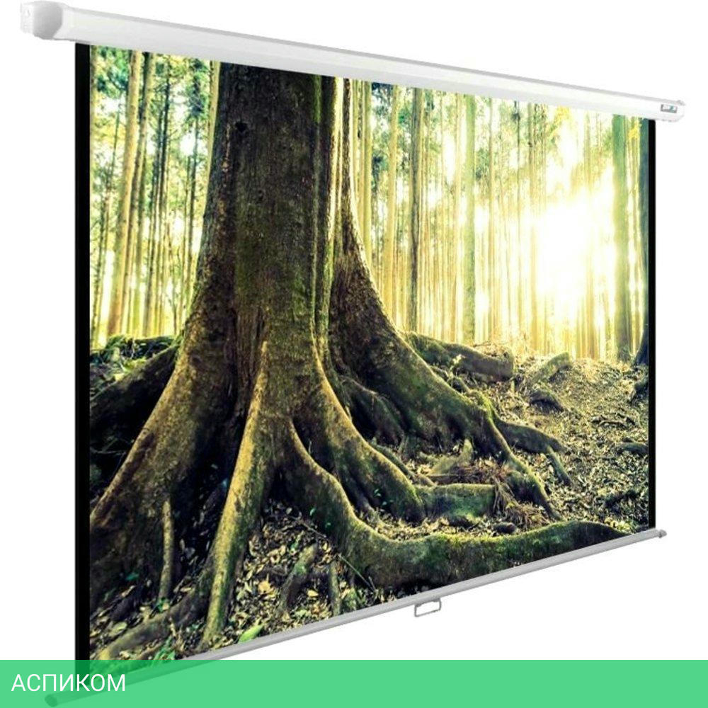 Проекционный экран Cactus WallExpert (CS-PSWE-220x220-WT)