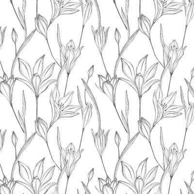 Цветы Бродеи. Лепестки, листья, веточки нарисованы графически карандашом.