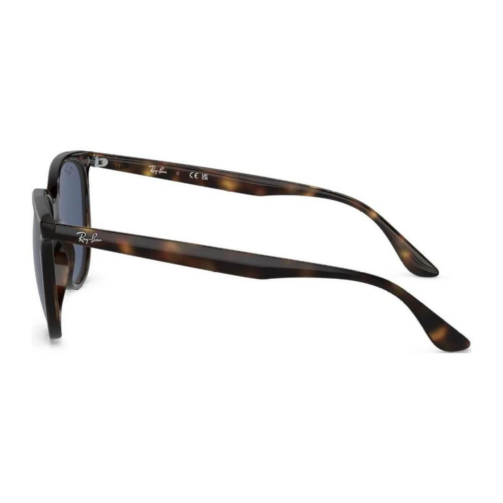 Очки RayBan logo, RB437871080