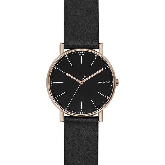 Мужские часы Skagen SKW6401