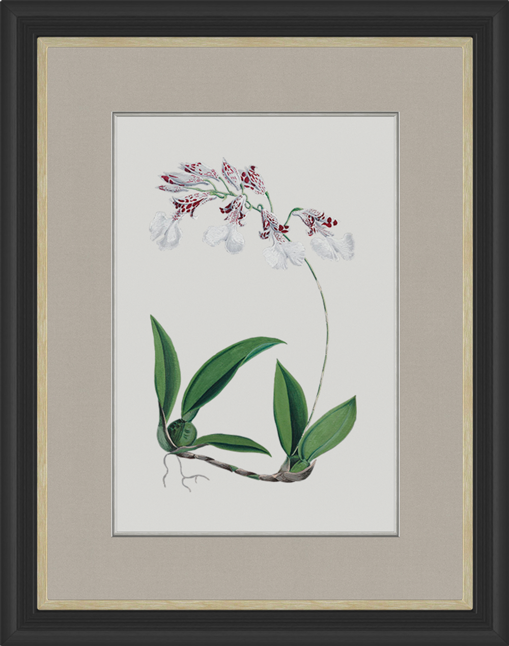 Картина 061 (X)