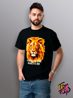 Футболка Не важно кто прав важно кто лев