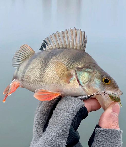 Слаги съедобные LJ Pro Series TRICK ULTRAWORM 1,4in (3,5 см), цв. PA16, 12 шт.