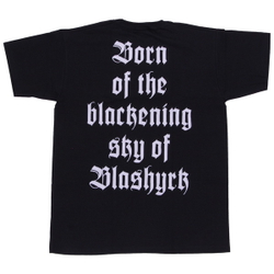 Футболка Immortal Pure Holocaust