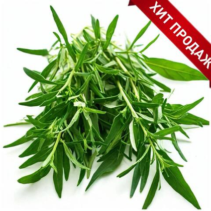 Сироп Тархун BIB 10л