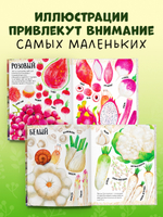 Приключения улитки Элли в мире фруктов и овощей