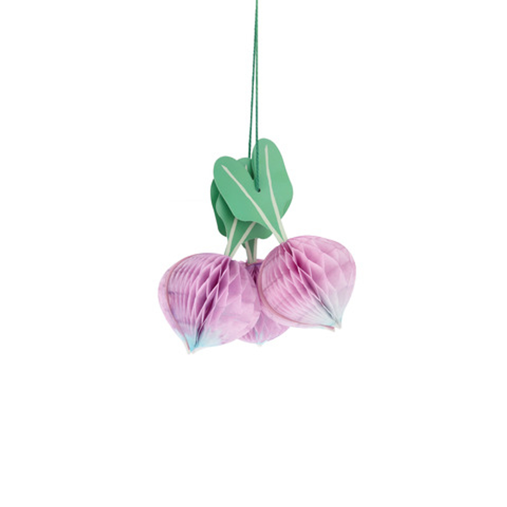 Набор подвесных овощей 10 шт.