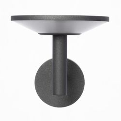 Citilux Dorn CLU05W LED Уличный настенный светильник Графит