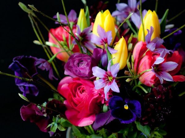 Поводы и причины дарить цветы