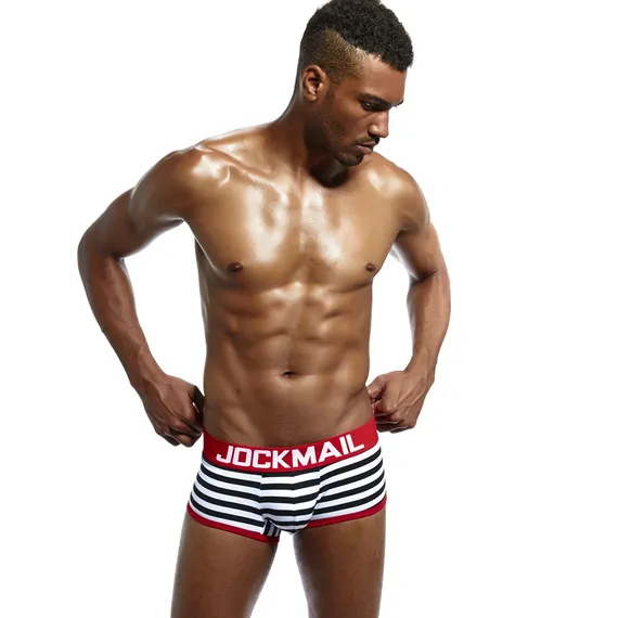 Мужские трусы джоки белые в полоску JOCKMAIL JM4058-1