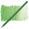 Rəngli karandaş \ Цветные карандаши Faber-Castell Polychromos Pencil - 112 Leaf Green