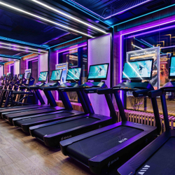 Профессиональная беговая дорожка SHUA SH-T9100T