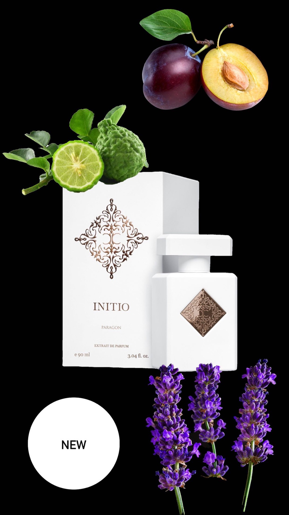 Initio Paragon