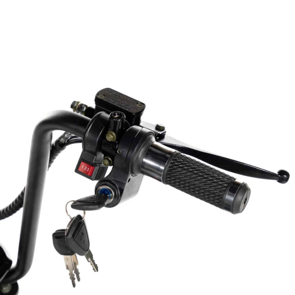 Электроскутер Citycoco Trike Mini 1000W 48V 20AH Чёрный