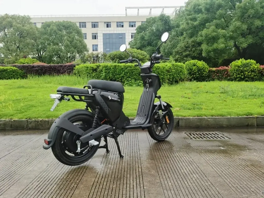 Электроскутер Skyboard Sevastopol 1800W