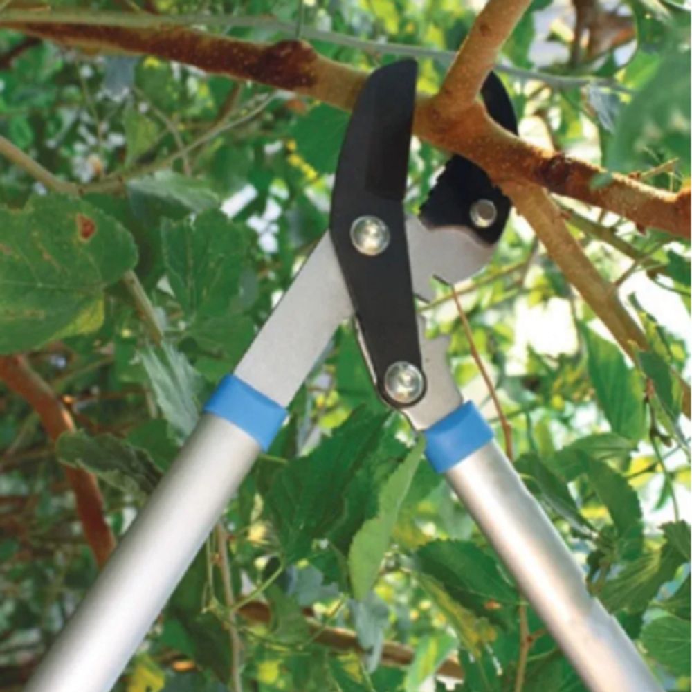 GTGL6-067 GREEN APPLE Сучкорез с зубчатым механизмом | GREEN APPLE