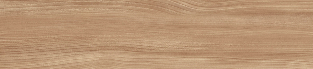 Dune Natural GP2090DUE31R