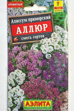 Алиссум Аллюр, смесь сортов СМЦ-675