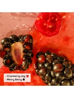 Бальзам для губ 2 клюква и ягоды