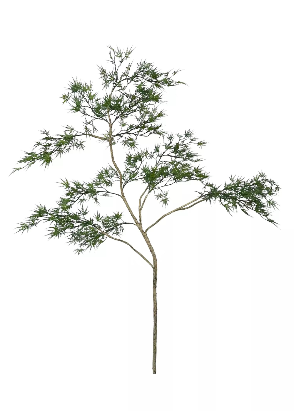 Клен дланевидный ветвь 160 см без кашпо