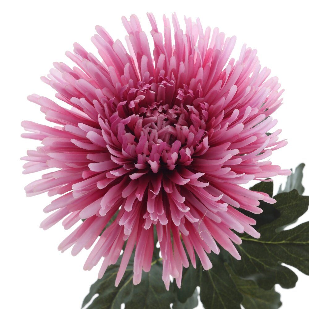 GAEM Цветок искусственный "Астра", L19 W19 H91 см